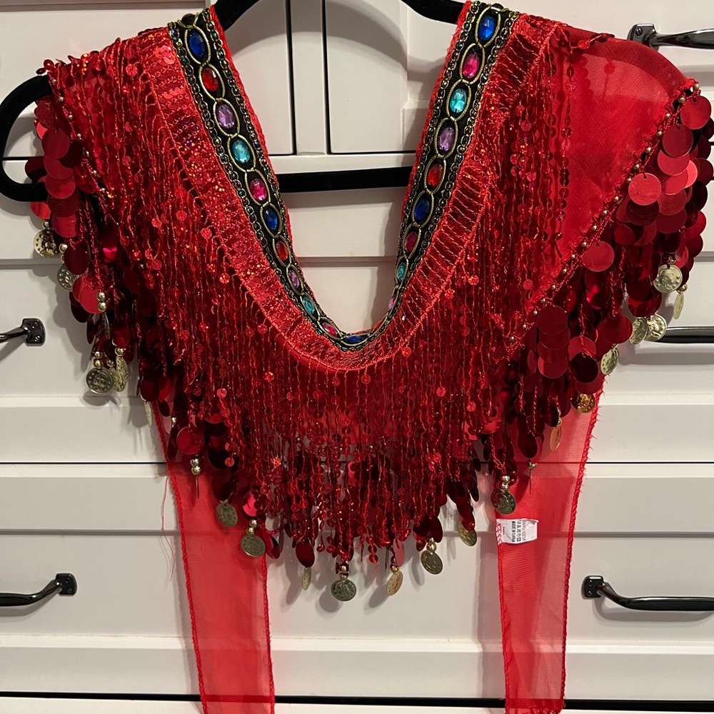Beautiful Red sequence and rhinestone scarf. a scarf or for belly dancing.